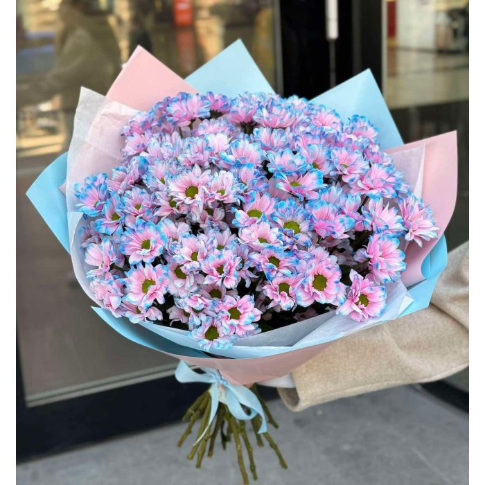 ქრიზანთემები primary image