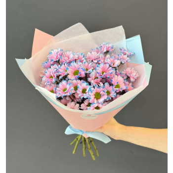 ქრიზანთემები Image 2