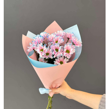 ქრიზანთემები Image 3