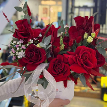 ყუთები primary image