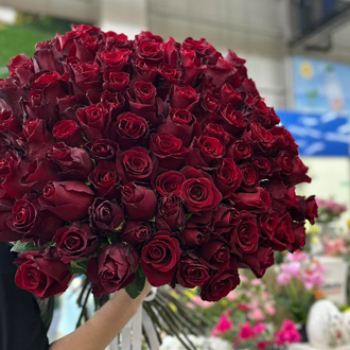 ვარდები primary image